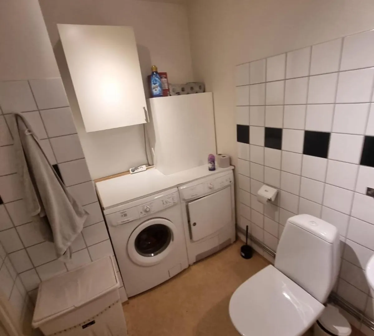 Fin Laegenhet Apartment Gothenburg